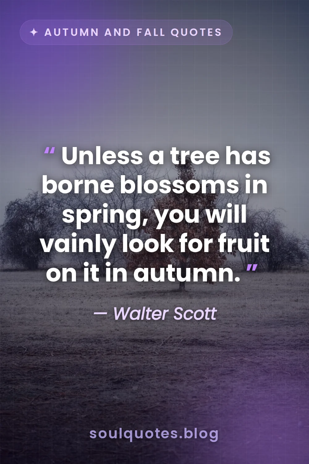 solitary ancient tree standing tall in an empty autumn field