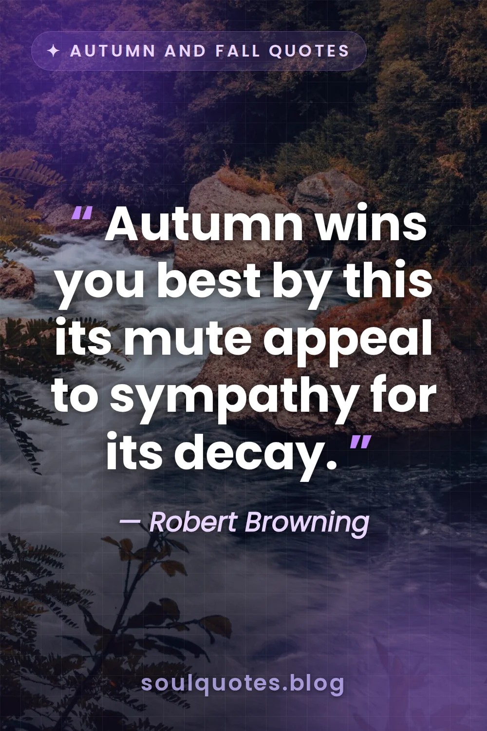 slow moving river carrying fallen leaves through a quiet woods