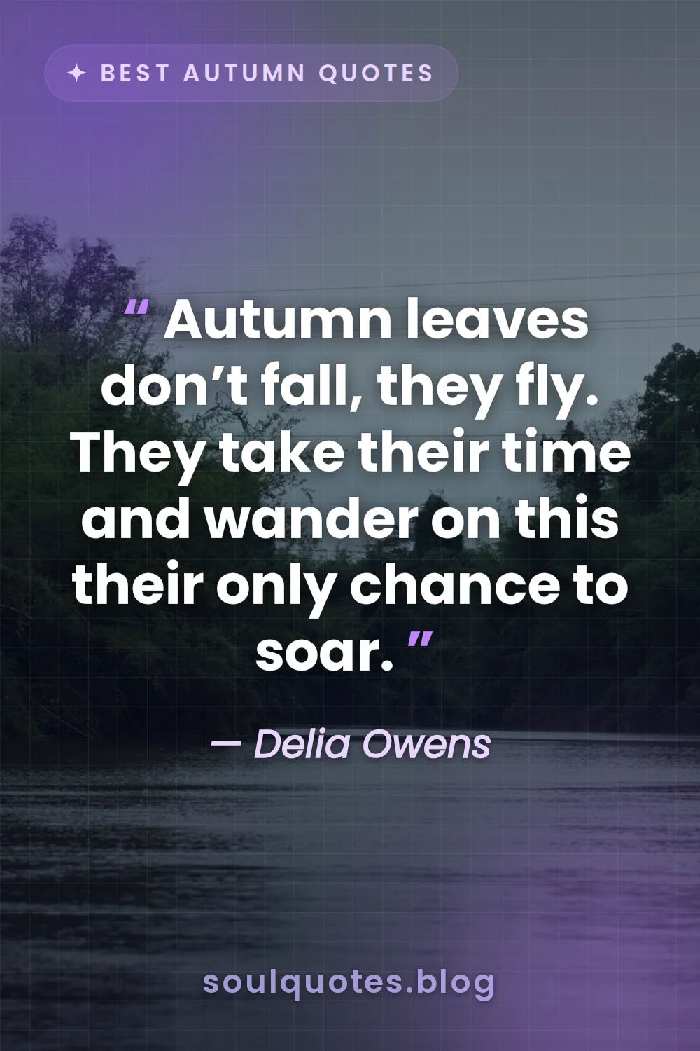 colorful fallen leaves floating down a gentle flowing stream