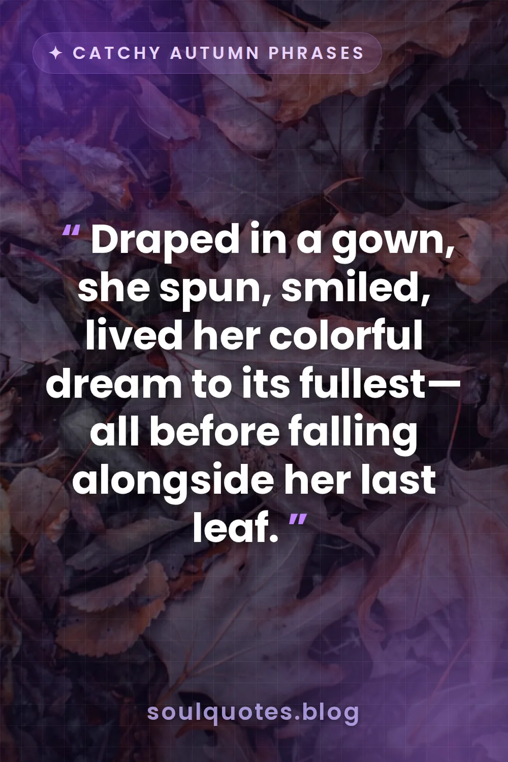 Cover Image of the Post