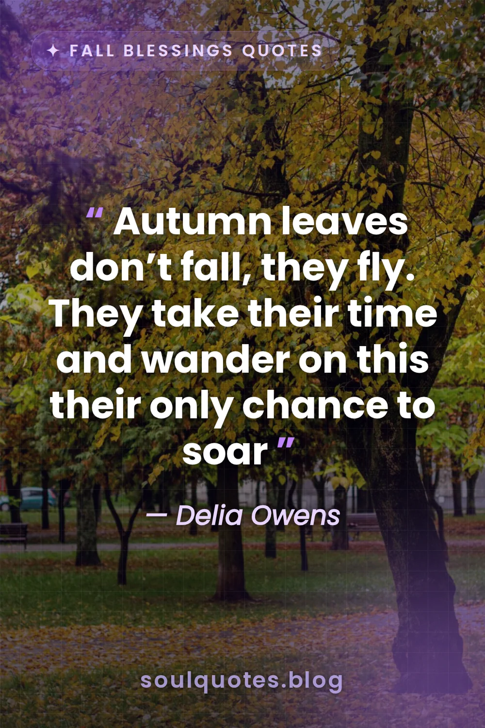 colorful fallen leaves swirling in a gentle autumn breeze
