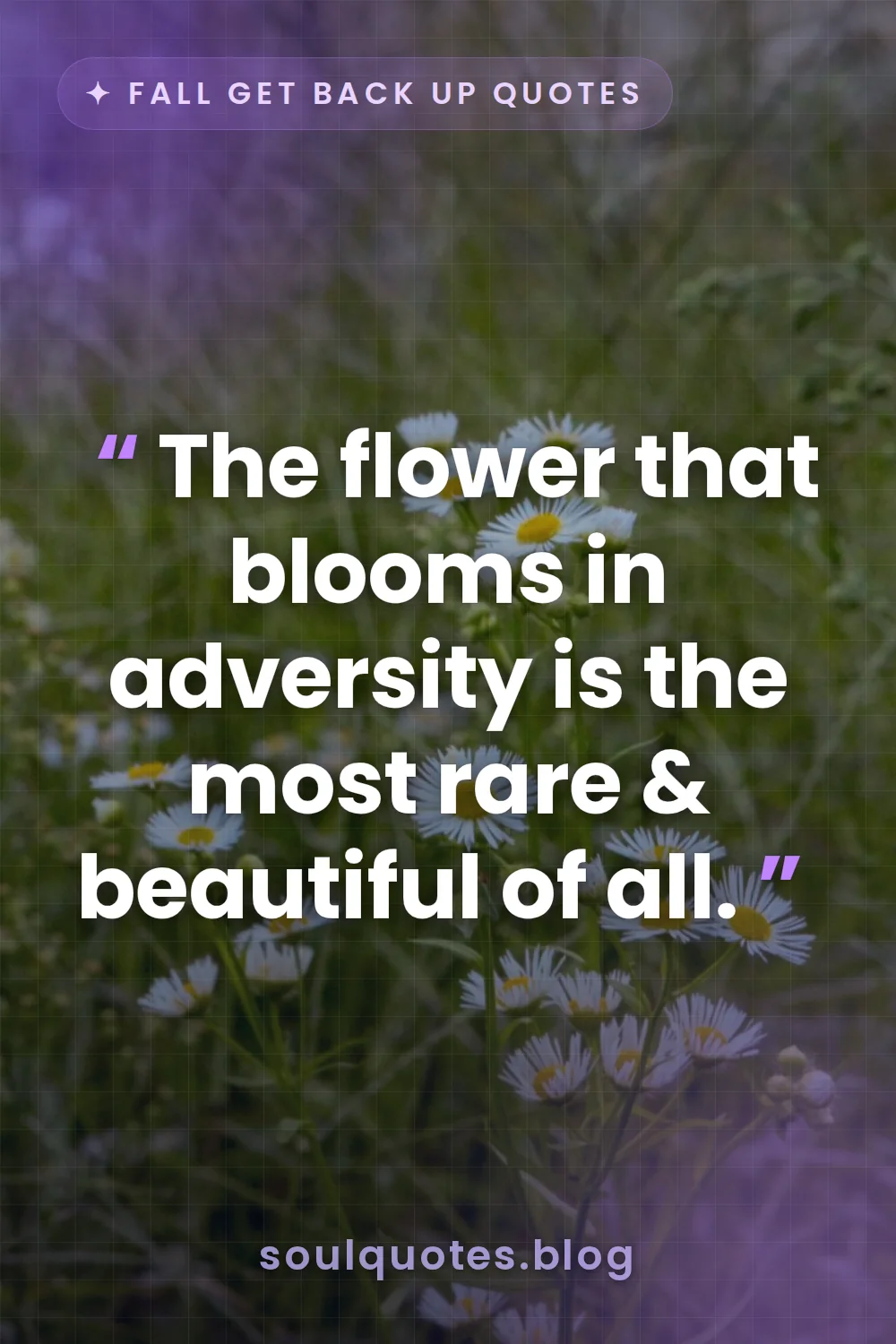 a single wildflower blooming in a vast field