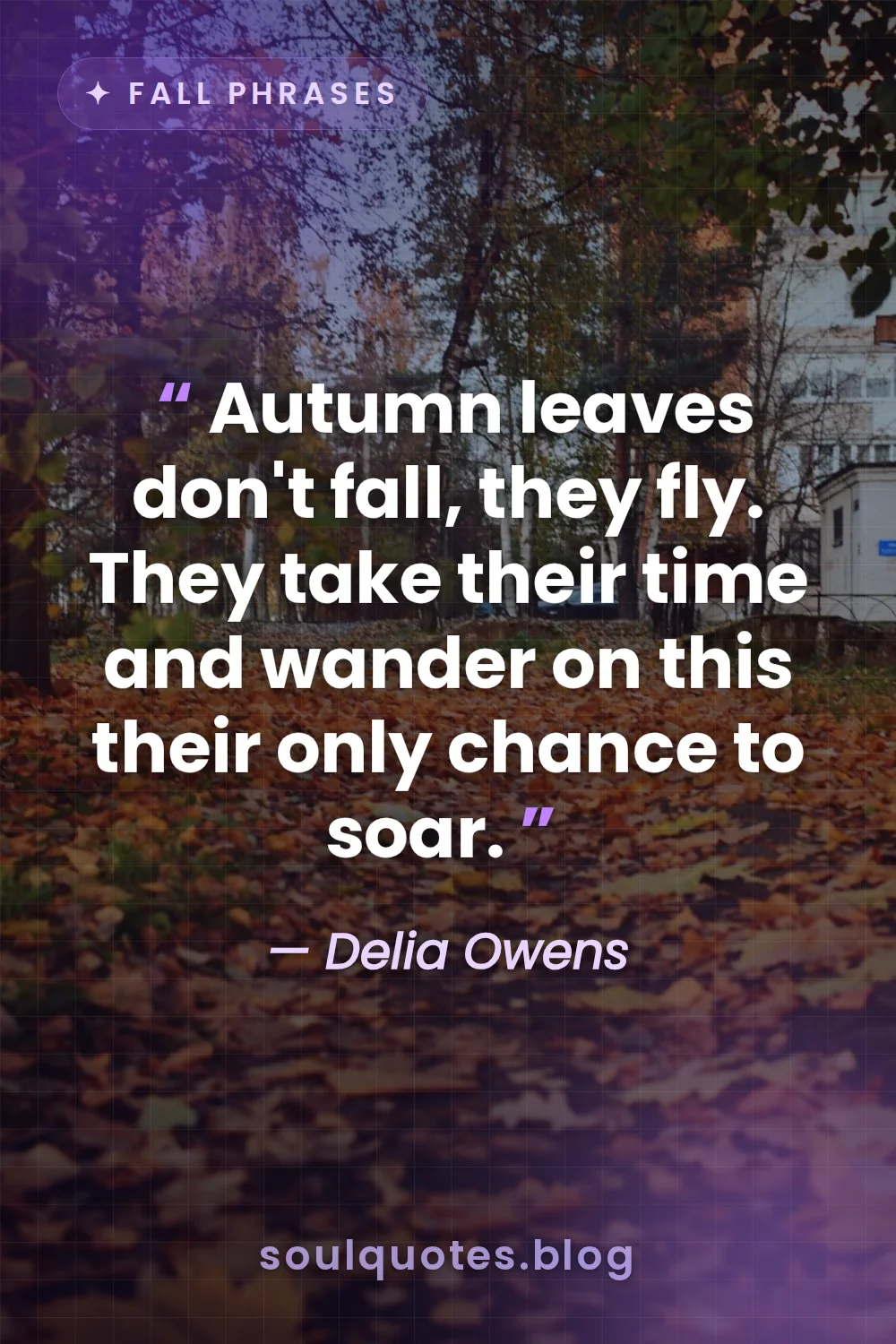 bright orange maple leaves drifting through the crisp air