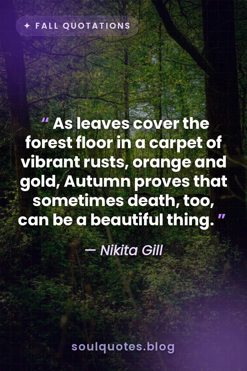 dense forest floor covered in thick orange fallen leaves