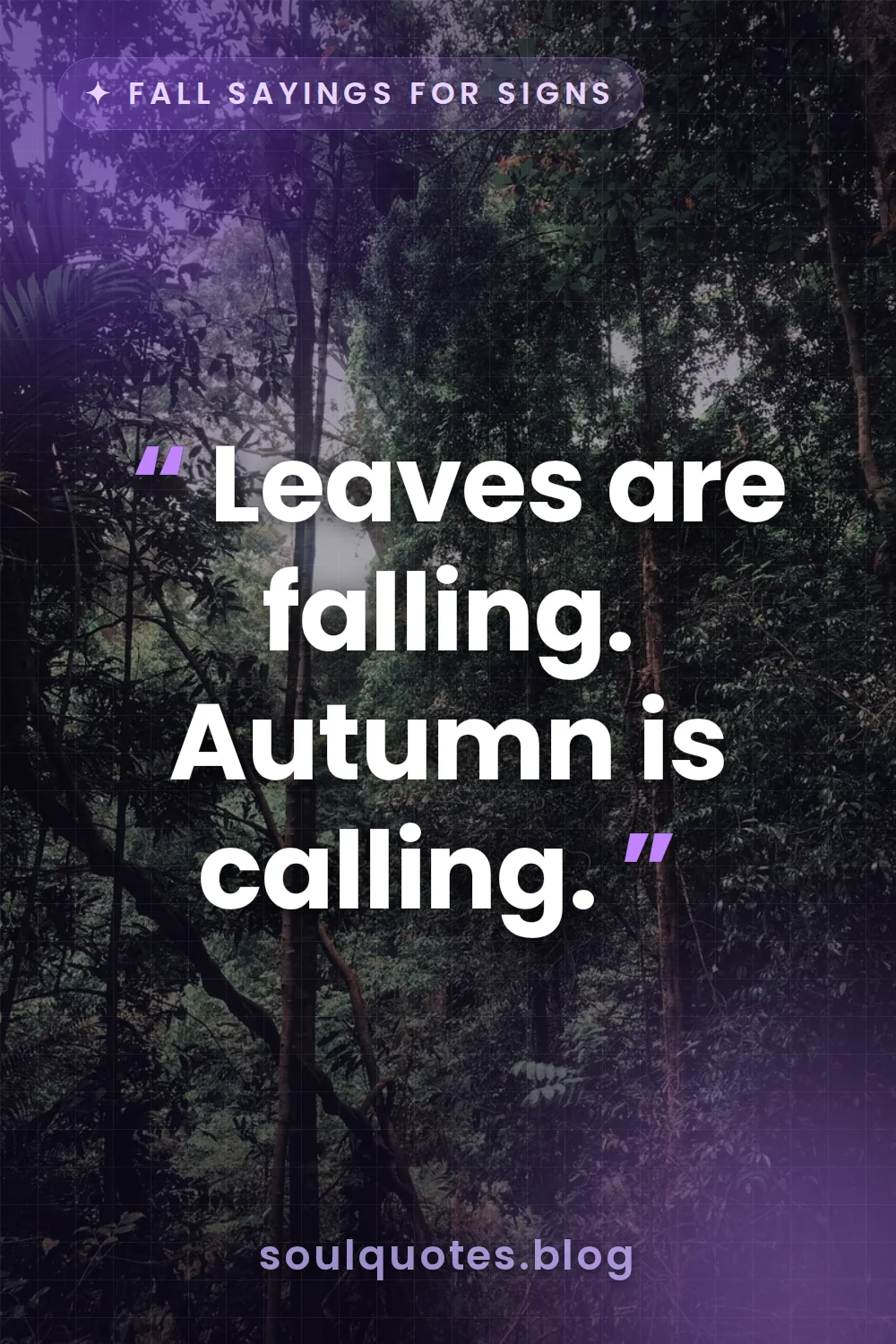 vibrant orange leaves falling through dense woodland trees