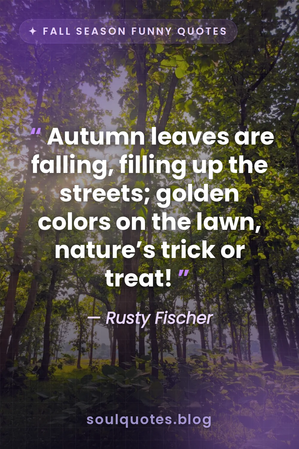 sunlight filtering through a dense canopy of colorful autumn trees