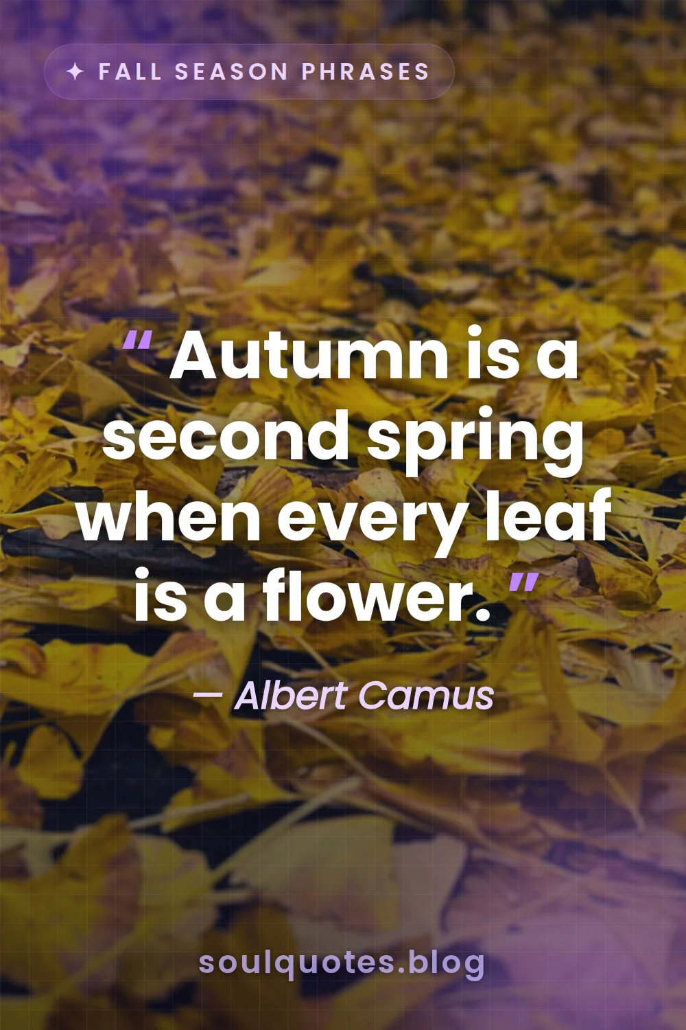 vibrant orange and red leaves glowing in golden light