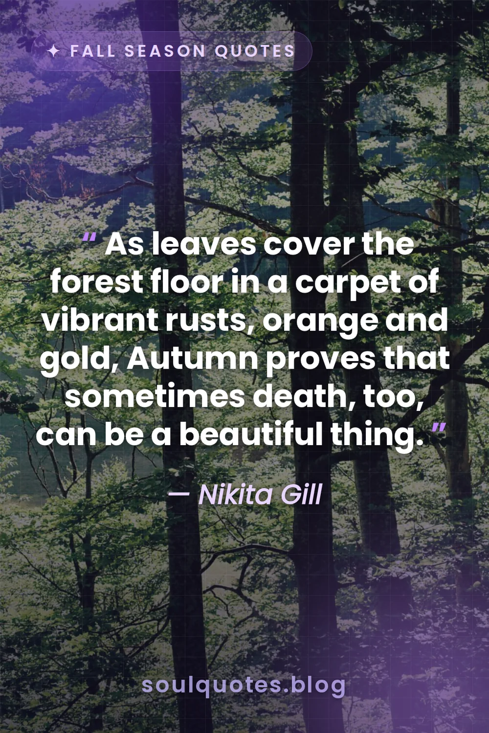 dense forest floor covered in thick layers of colorful leaves