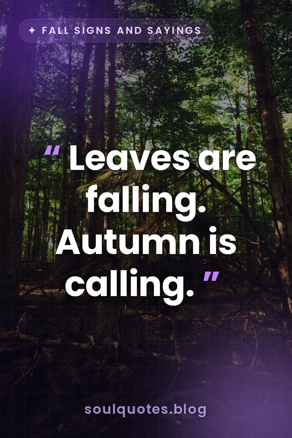 crisp autumn leaves falling through tall woodland trees