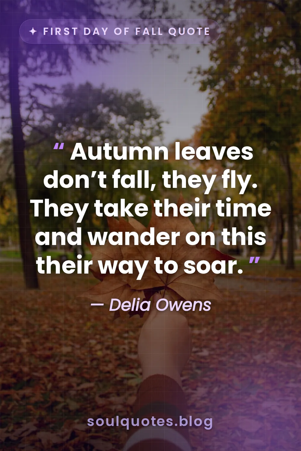 colorful fallen leaves swirling in the autumn wind