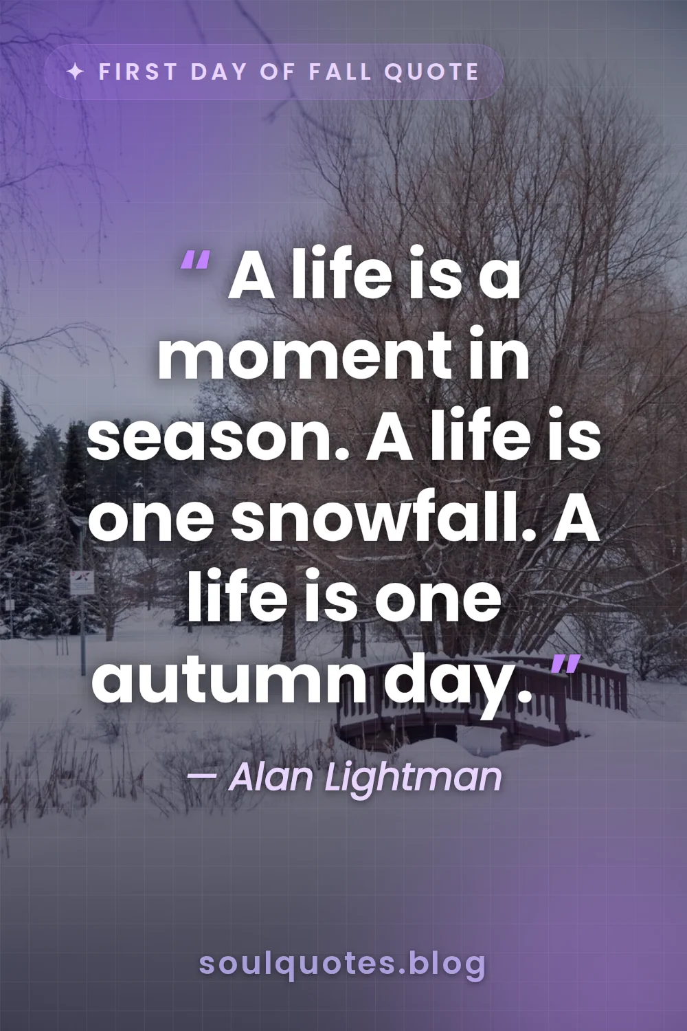 a single snowflake falling against a dark winter backdrop