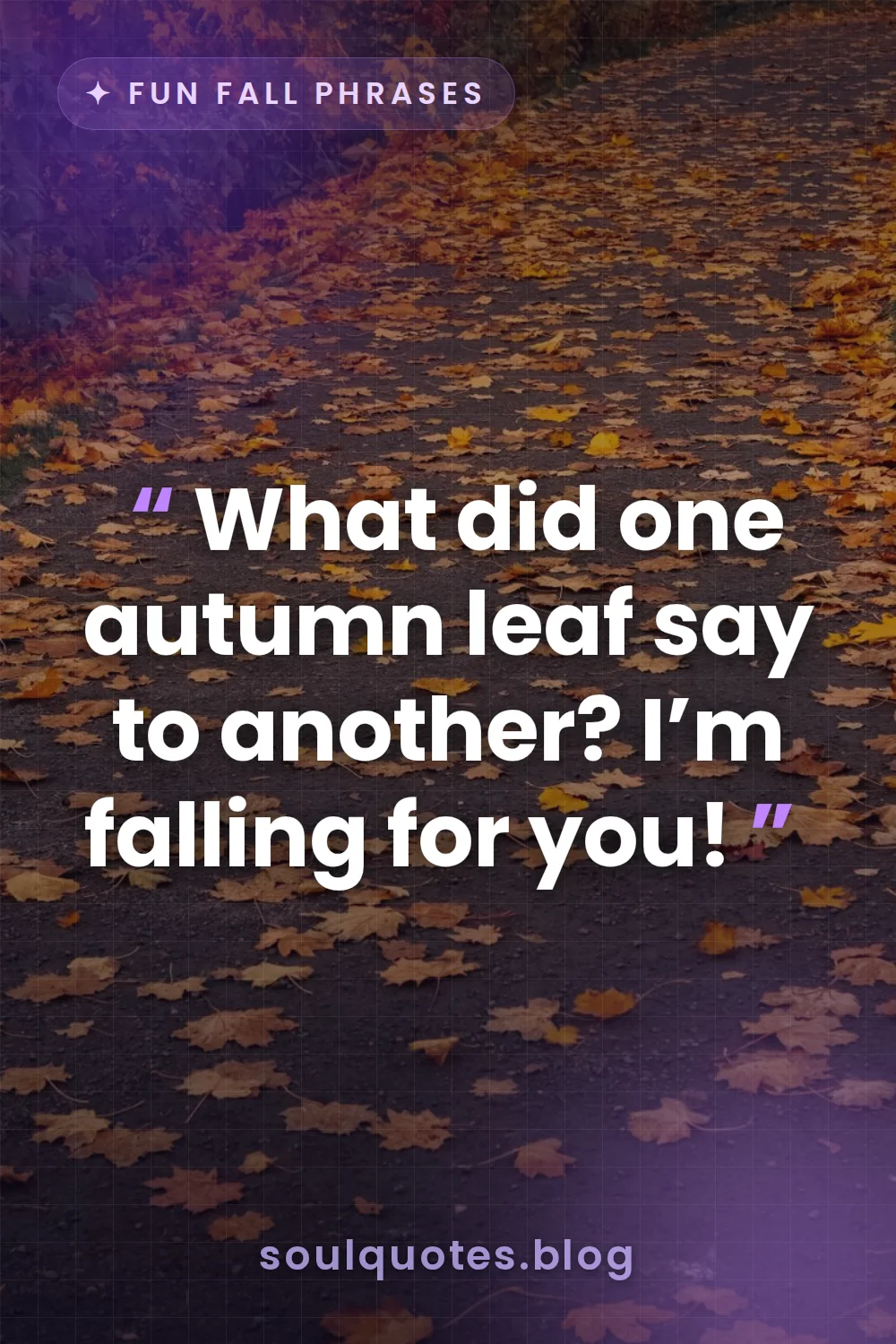 vibrant orange and red leaves scattered on ground