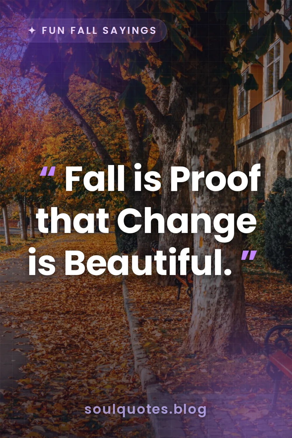 vibrant orange maple leaves changing color