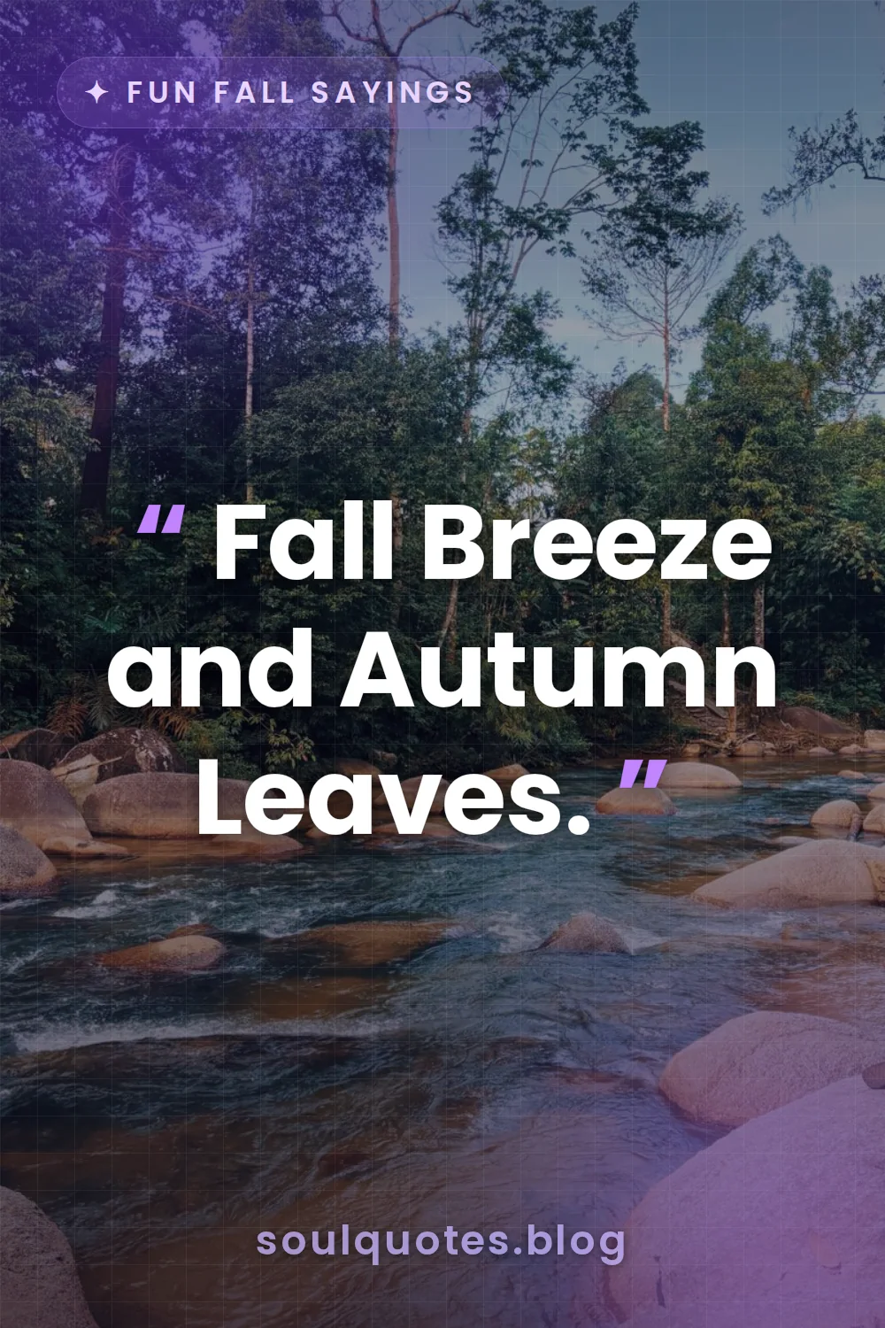 leaves floating on a gentle flowing river