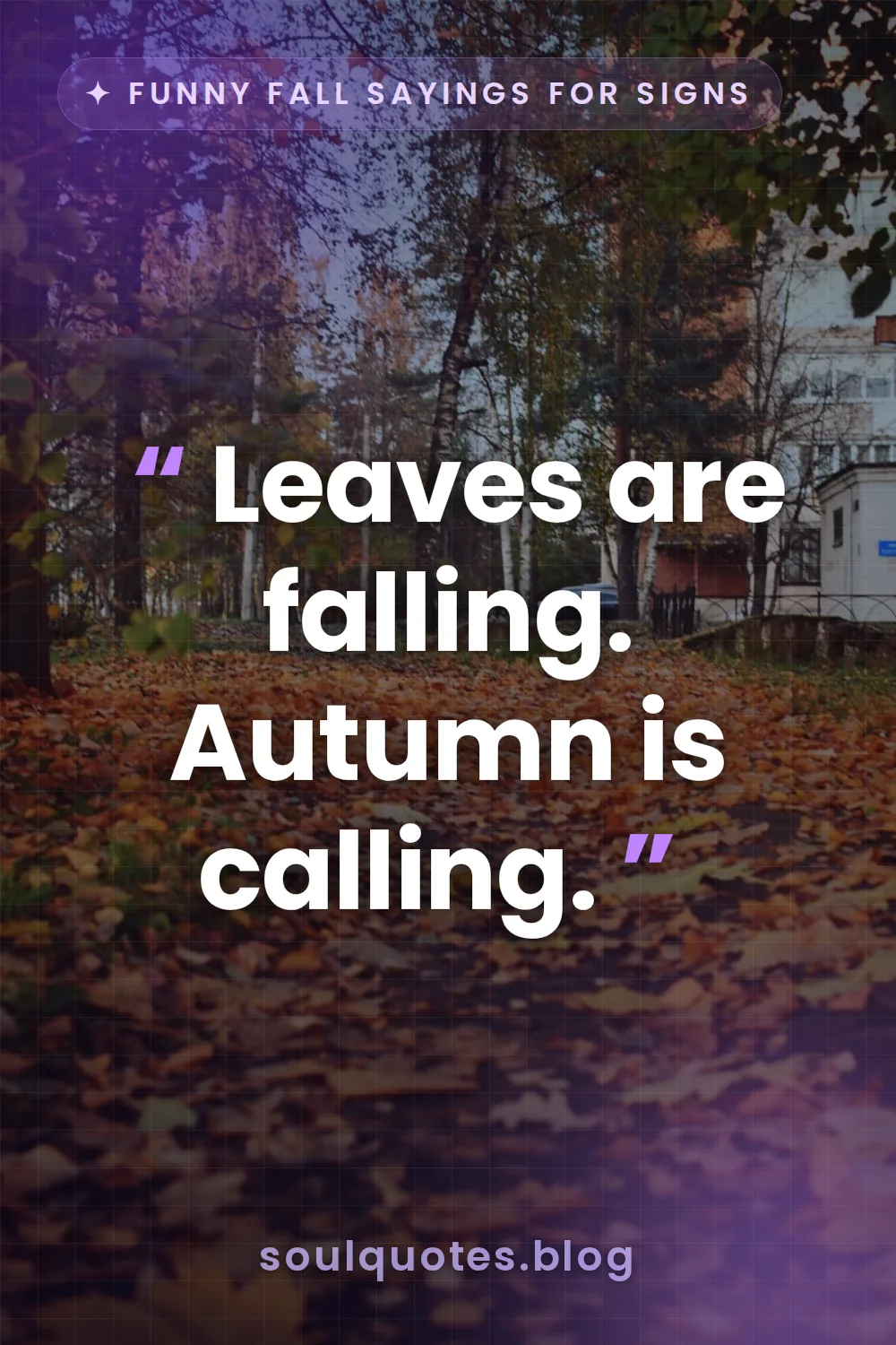 vibrant orange and red leaves scattered on ground
