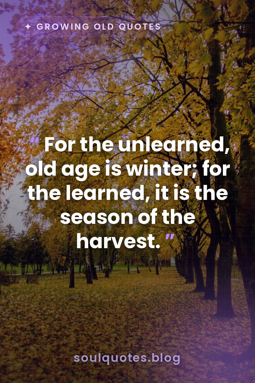golden autumn leaves covering a rich harvest field