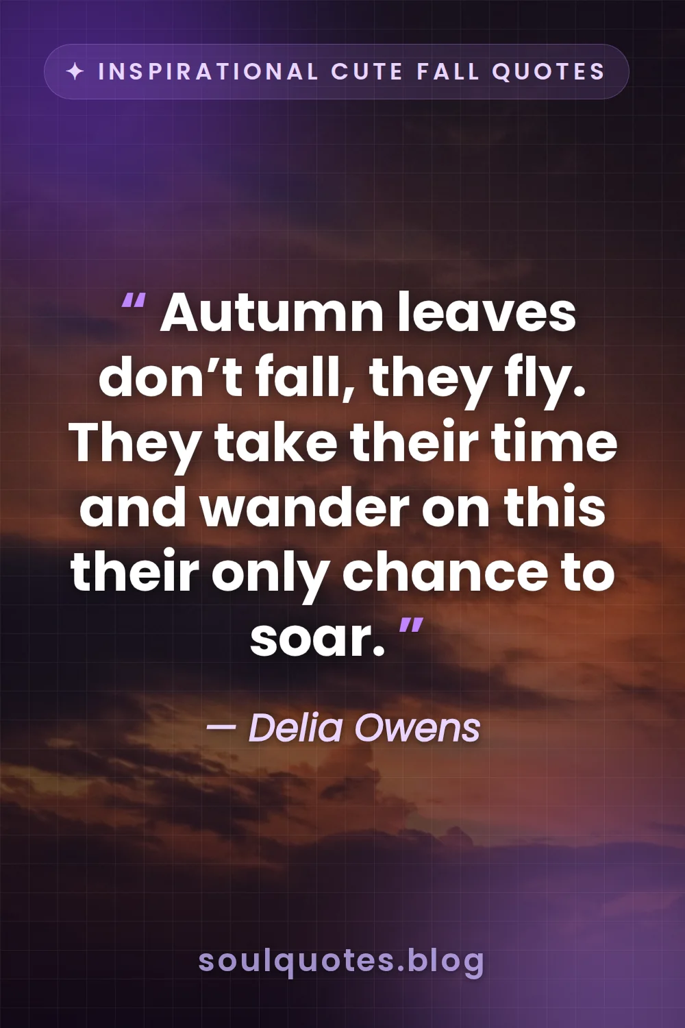 colorful autumn leaves floating through warm orange sunset light