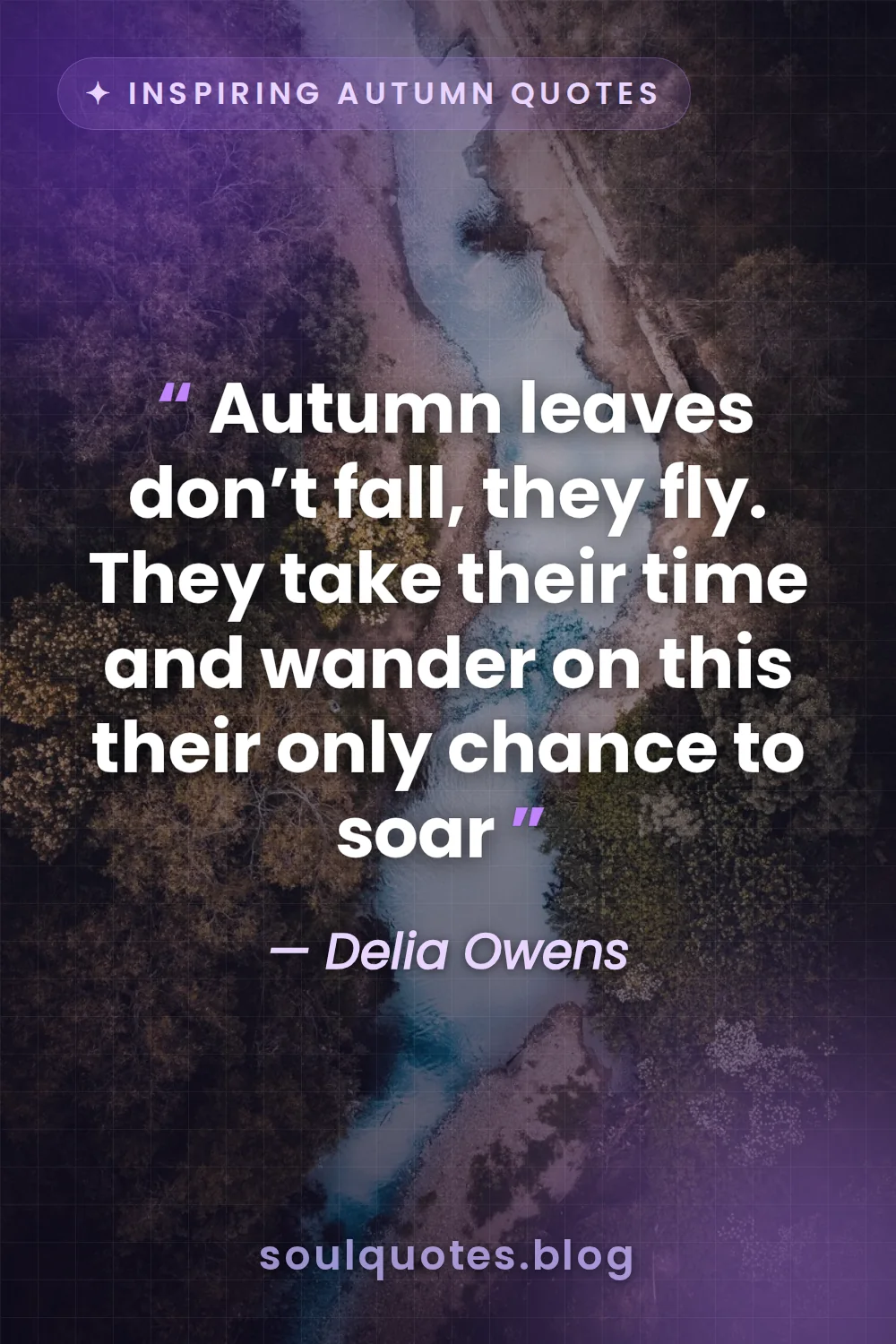 colorful leaves swirling gracefully down a flowing river