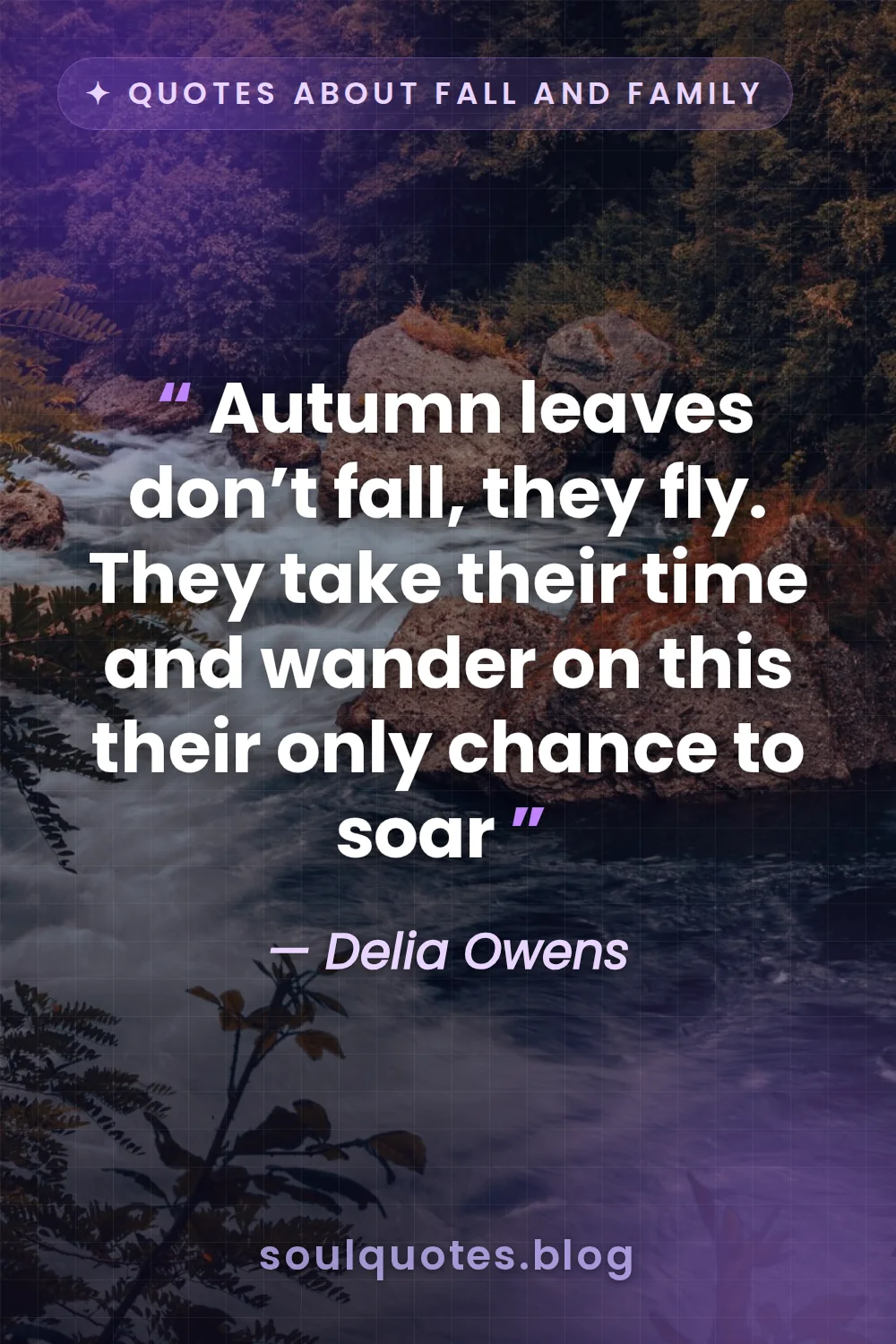 colorful leaves dancing on the surface of a flowing river