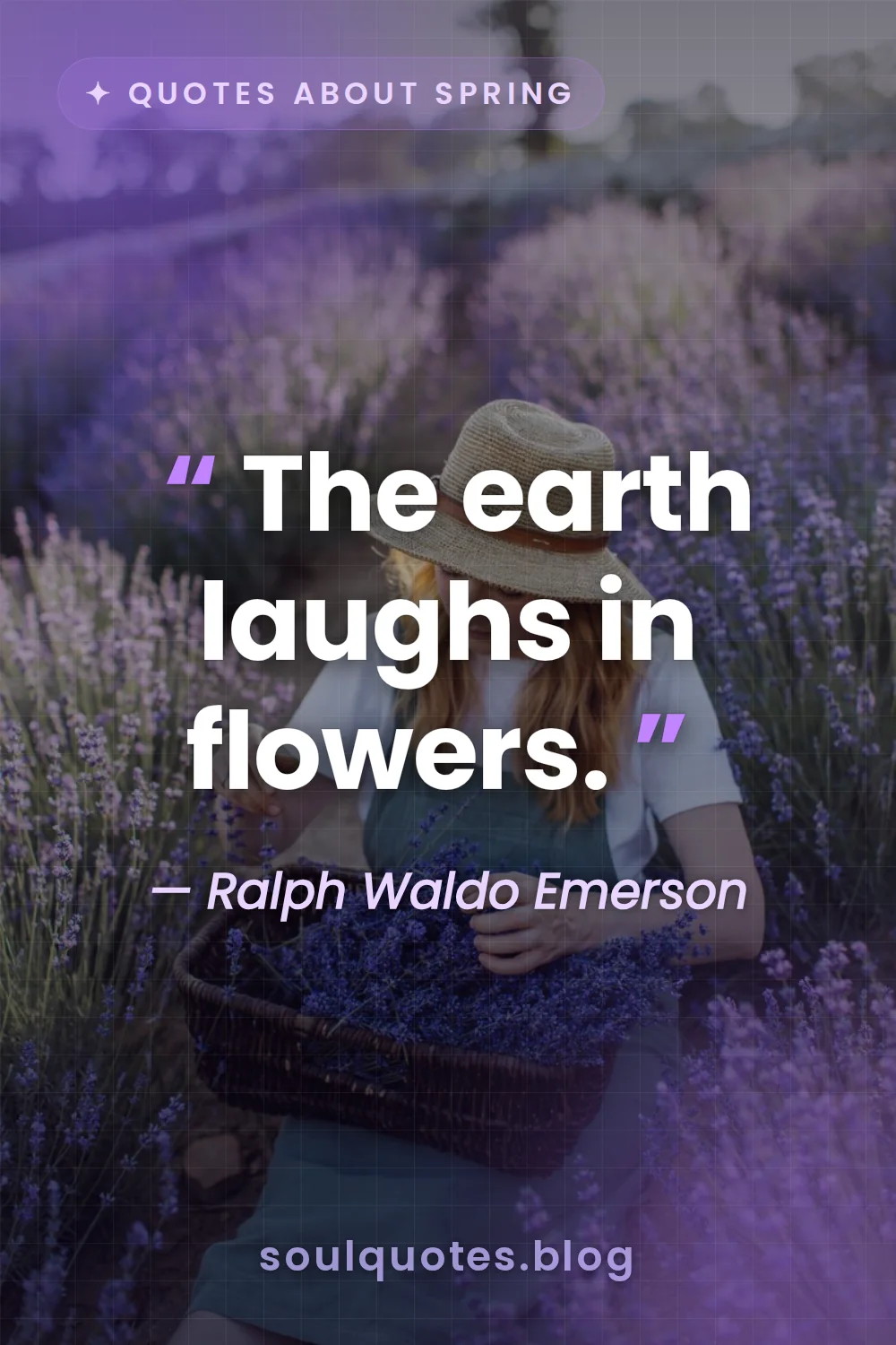 field of purple lavender swaying in a gentle breeze