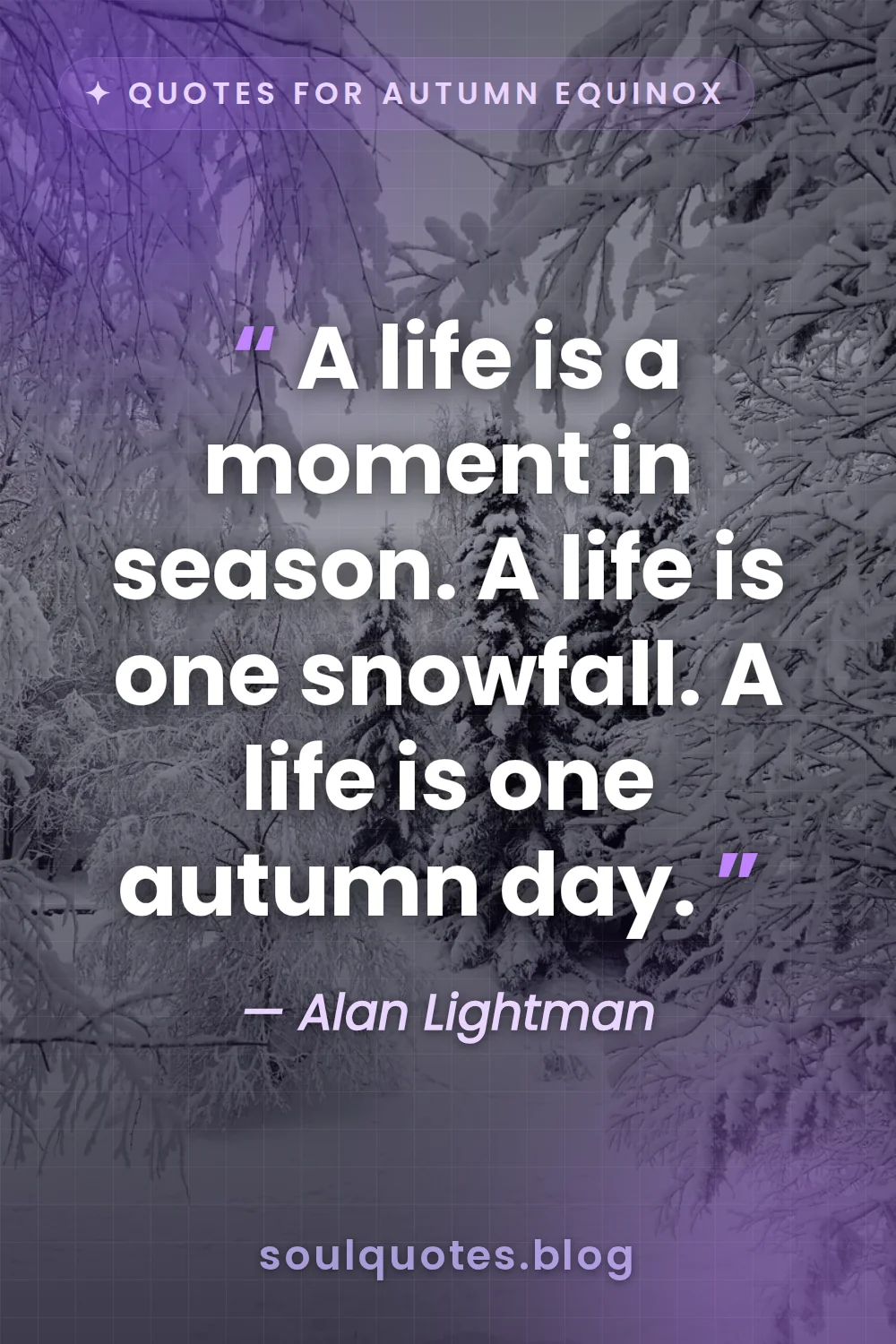 a single soft snowflake falling in the quiet twilight