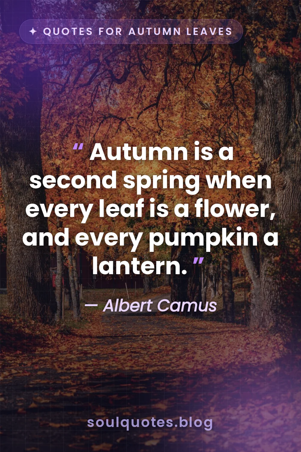 vibrant orange leaves and glowing pumpkins in soft light
