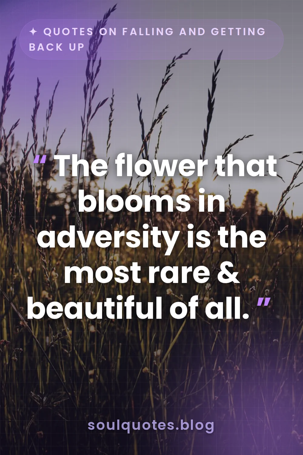 a single vibrant wildflower blooming amidst tall dry grass