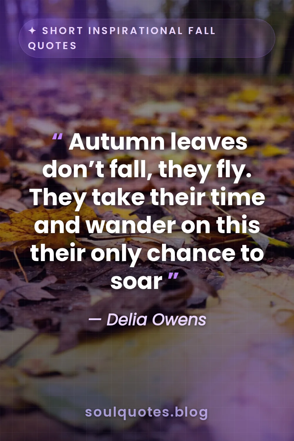 colorful maple leaves swirling in a gentle breeze