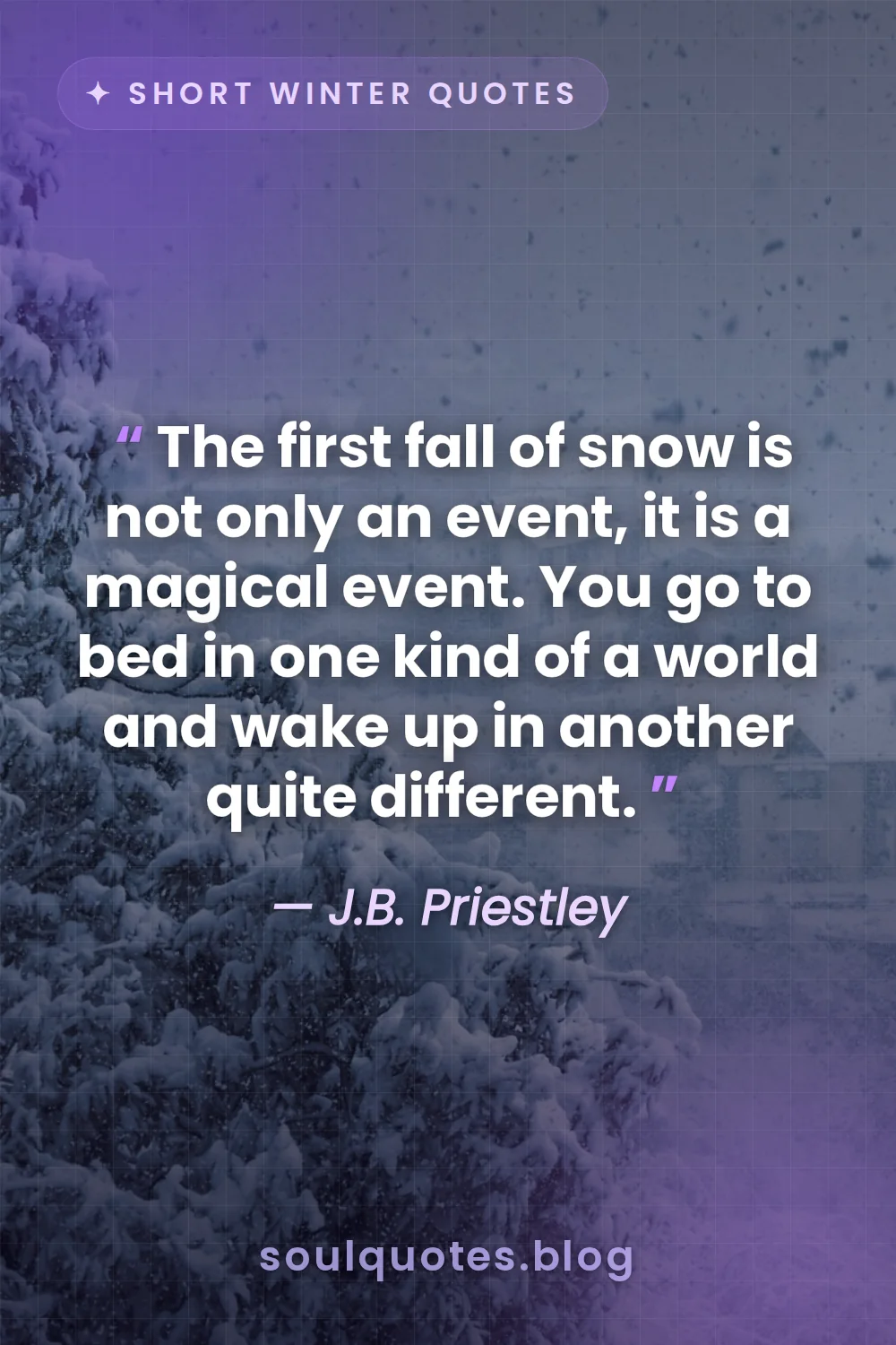 fresh pristine snow covering a quiet sleeping landscape