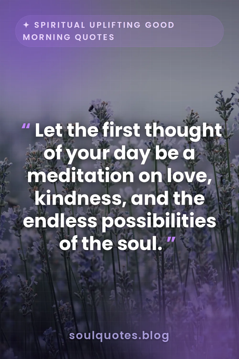 soft purple lavender fields bathed in gentle morning light