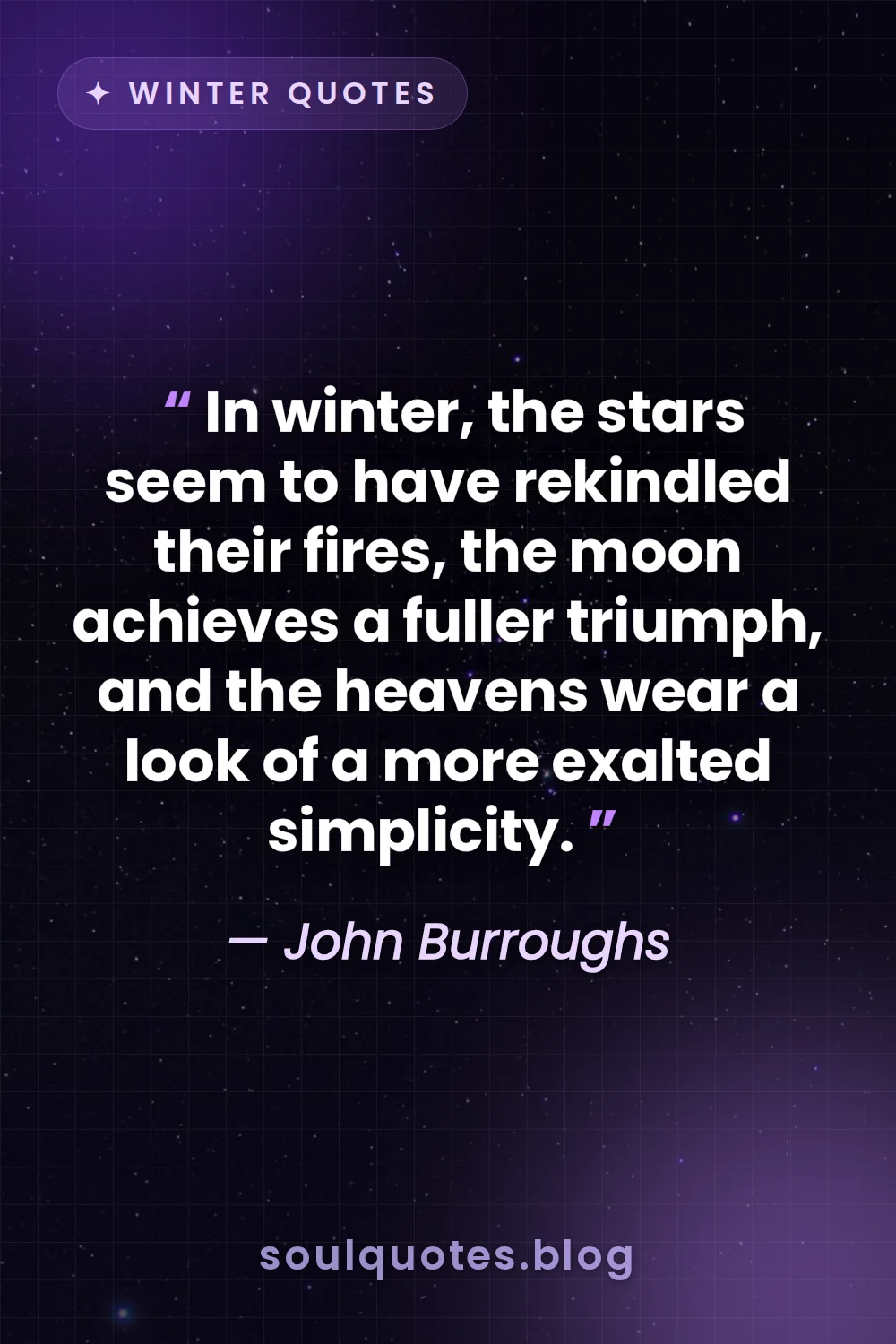 bright twinkling stars in a dark winter night sky